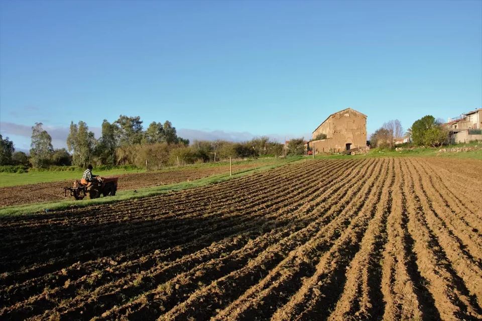 Campo arato a solchi paralleli nella valle del Cixerri, con un casolare in pietra sullo sfondo